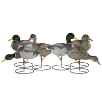 Dakota Xtreme Full Body Mallard Decoys